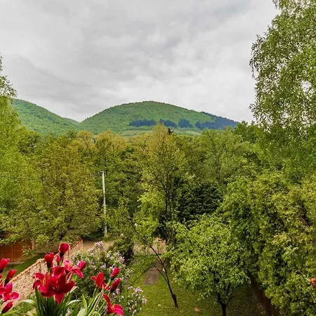 The Hide Aside Visoko
